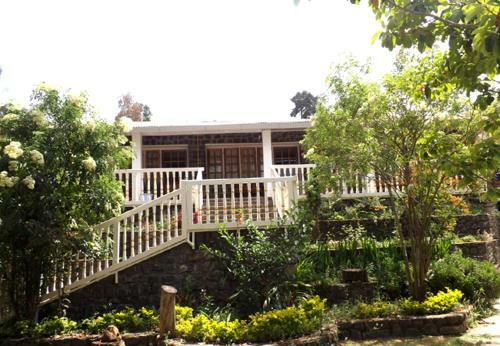 Hotel Lilly's Valley Resort
