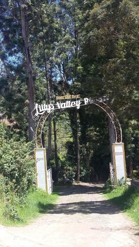 Hotel Lilly's Valley Resort