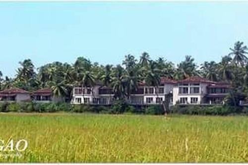 Hostal Goan Portuguese House