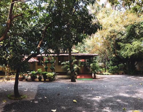 Bed & Breakfast Palm Grove Service Villa