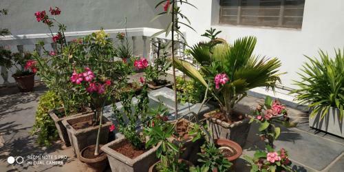 Hostal Pondichery Guest House