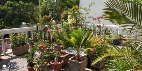 Hostal Pondichery Guest House