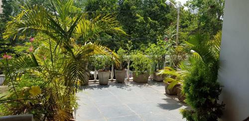 Hostal Pondichery Guest House