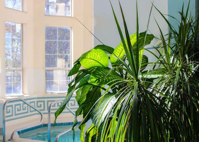 Hotel Senator Inn & Spa