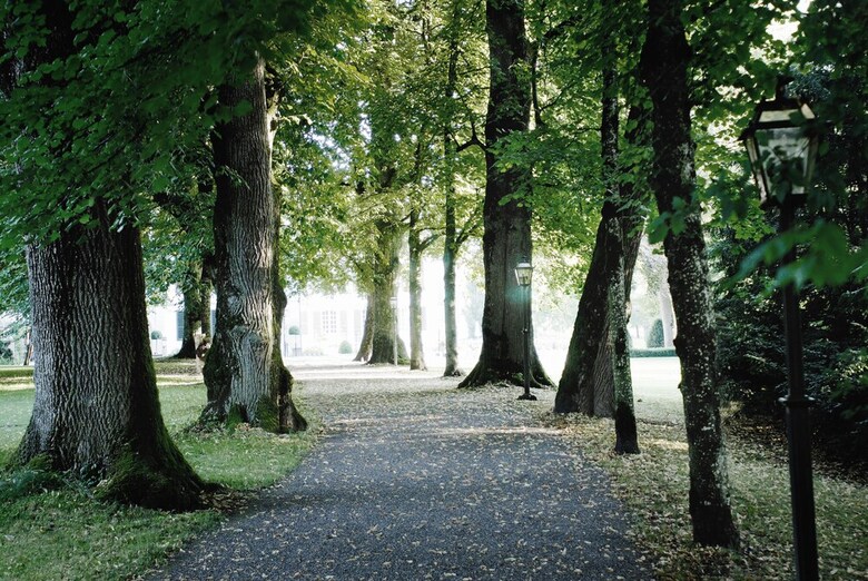 Parkhotel Schloss H�nigen