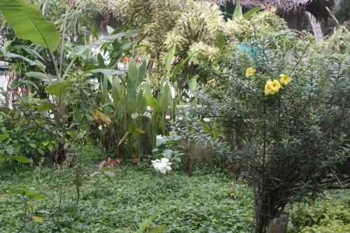 Hotel Anitha's Garden Stay