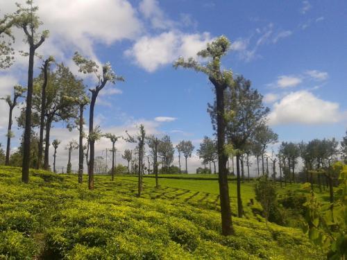 Posada Starlit Holidays Homes Munnar