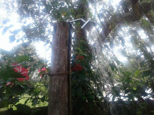 Marari Siva Beach Homestay