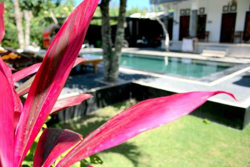 Hostal Uluwatu Made Guesthouse
