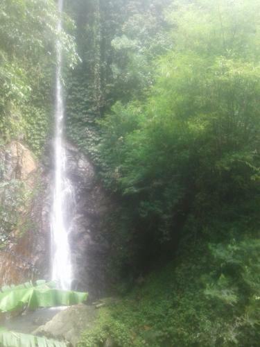 Pondok Salacca
