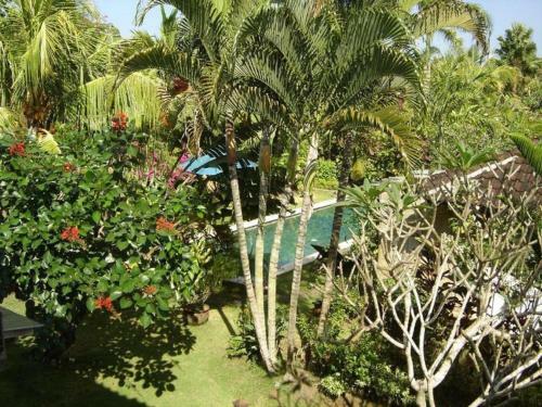 "villa Sarah" New Private