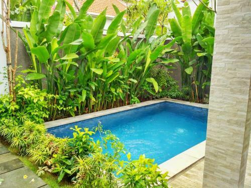 Hotel Amelle Villas
