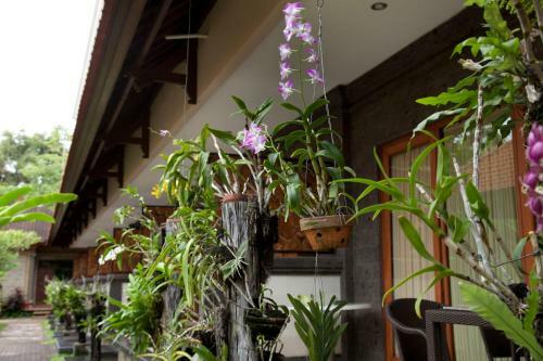 Jepun Bali Hotel