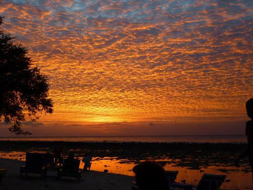Hostal Cotton Tree Cottages