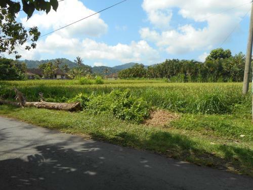 Bed & Breakfast The Bukit Artha