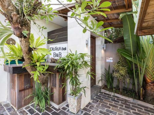 Exotica Bali Villa Bed And Breakfast