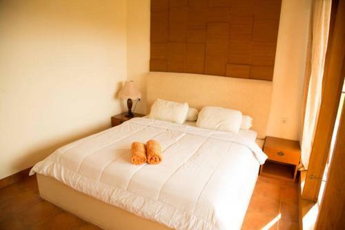 Hostal Ubud Cantik House
