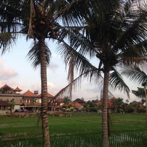 Hostal Putra Bisma Guesthouse