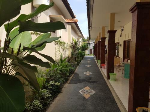 Hostal La Terrasse Guest House