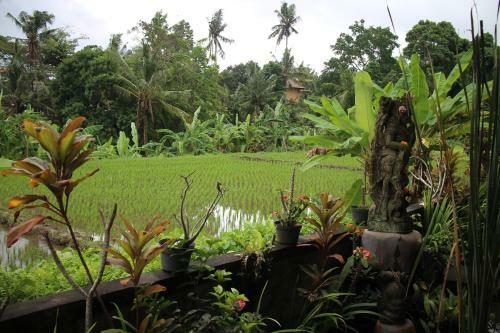 Posada Ubud Sensasi Bungalow