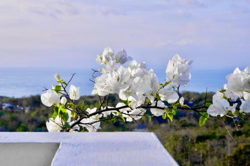 Villa Awan Uluwatu
