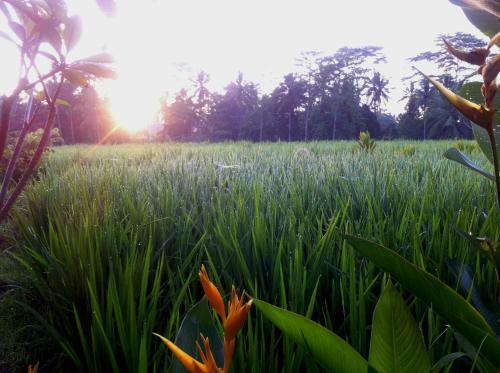 Villa Neyang