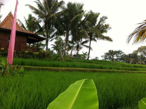 Villa Neyang