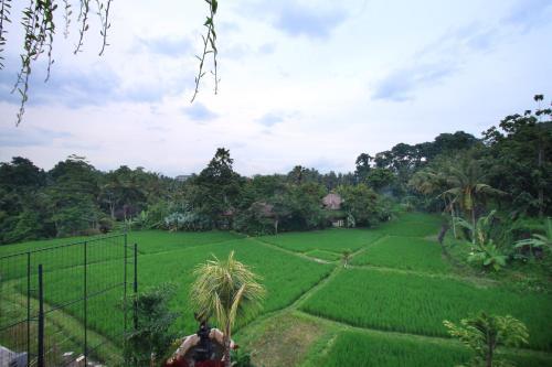 Hostal Byasa Ubud