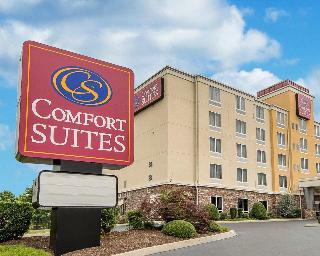 Hotel Comfort Suites North
