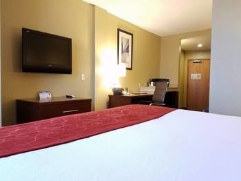 Hotel Comfort Suites Near Raymond James Stadium