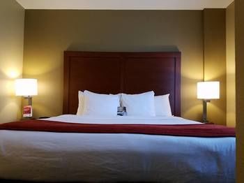 Hotel Comfort Suites Near Raymond James Stadium