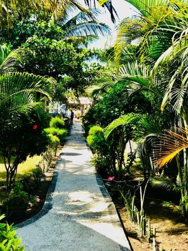 Hostal Bolata Beach House