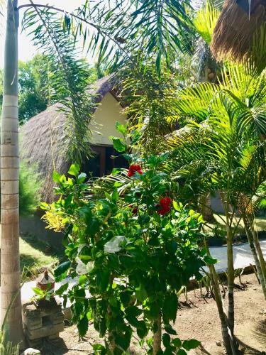 Hostal Bolata Beach House