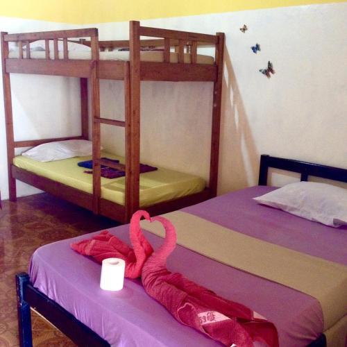 Hostal Wonderland Guesthouse
