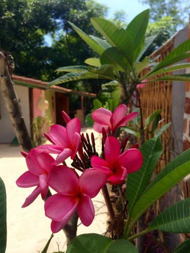 Villas Samalama Gili Air