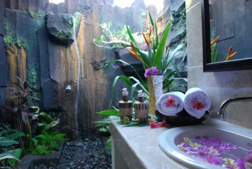 Bed & Breakfast D & D Dive Center Pemuteran