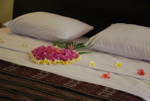Bed & Breakfast D & D Dive Center Pemuteran