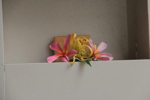 Koji Garden Huts - Chse Certified