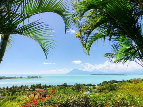Hostal Kozy Le Morne