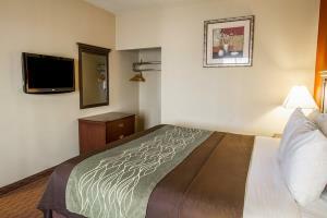 Hotel Comfort Inn West