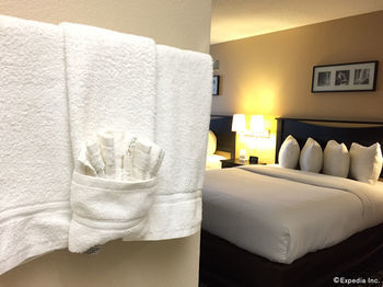 Hotel Comfort Inn Maingate - Anaheim