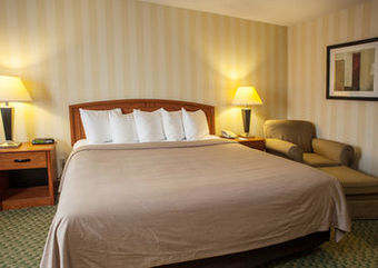Hotel Comfort Inn Airport
