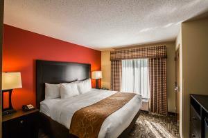 Hotel Comfort Suites At Westgate Mall