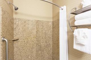 Hotel Comfort Inn & Suites Downtown