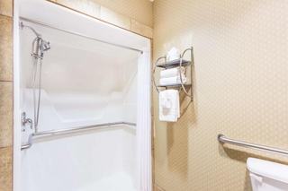 Hotel Comfort Inn & Suites Downtown