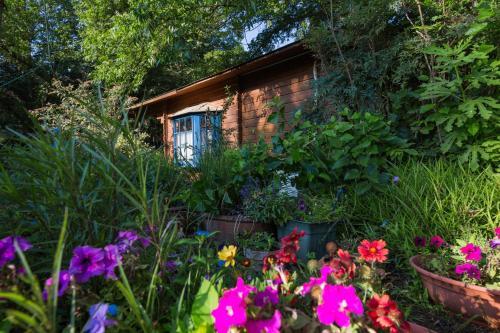 Lavenderin Lodges
