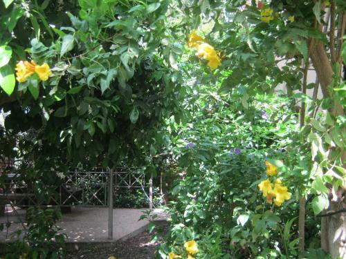 Hostal Arbelit Lodge