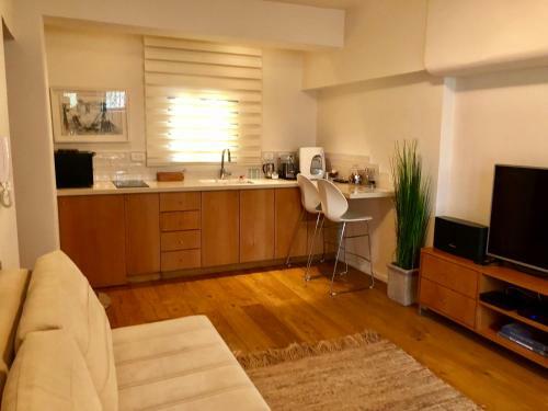 Aharonovich Apartment