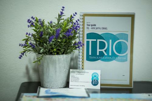 Apartamento Trio