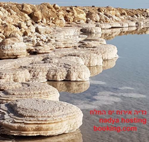 Lodge Nadia Hosting Dead Sea